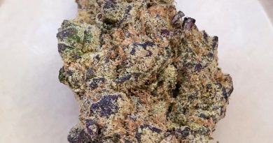 jungle cake by seed junky genetics strain review by budfinderdc