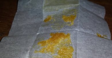 jungle cake x pie hoe #8 live resin concentrate review by sticky_haze420