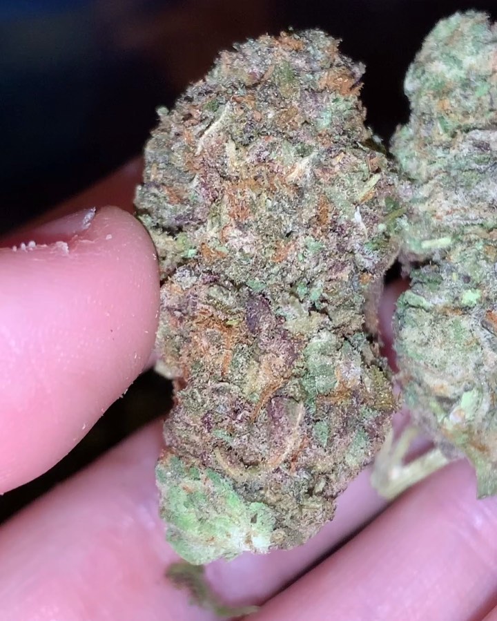 Strain Review Kush Mints by Seed Junky The Highest Critic