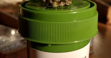 mac 1 miracle alien cookies x1 by evans creek farms strain review by pdxstoneman