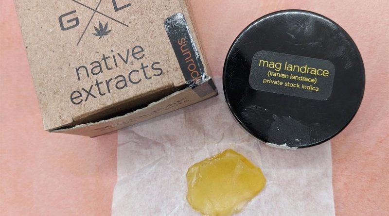 mag landrace shatter by goldleaf native extracts concentrate review by upinsmokesession