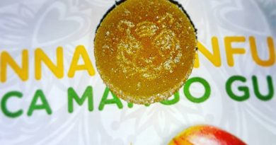 mango infused gummies by kanha treats edible review by sjweedreview