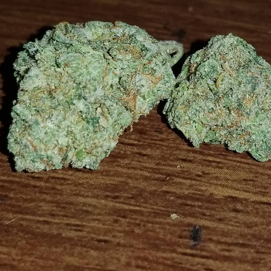 master kush by dutch white label seed company strain review by sticky_haze420