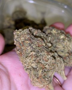 mendo breath by gage green genetics strain review by thatcutecannacouple 2