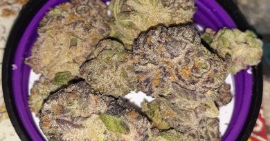 mimosa by fields family farmz strain review by sjweedreview