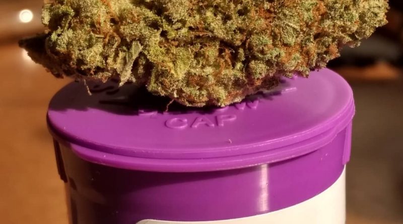 mimosa by high noon cultivation strain review by pdxstoneman