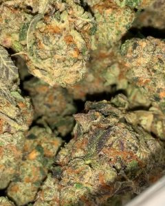 monster cookies by greenpoint seeds strain review by thatcutecannacouple 2