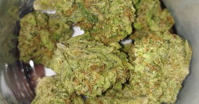 northern berry by full moon farms strain review by sjweedreview