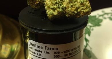 old family purple by liontree farms strain review by pdxstoneman