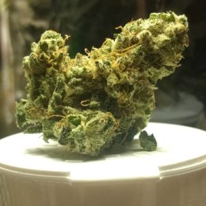 oregon sunset by high winds farm strain review by pdxstoneman 2