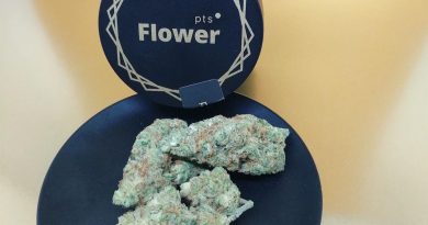 outlaw by pts flower strain review by upinsmokesession