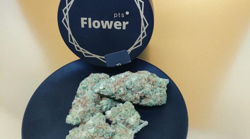 outlaw by pts flower strain review by upinsmokesession