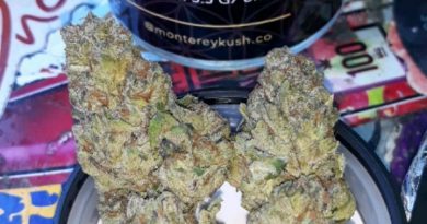 peanut butter cookies by monterey kush co strain review by sjweedreview