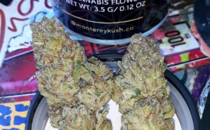 peanut butter cookies by monterey kush co strain review by sjweedreview