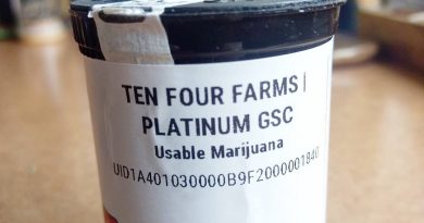 platinum gsc by ten four farms strain review by pdxstoneman 2