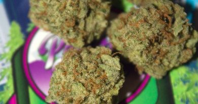 platinum kush strain review by bigwhiteash