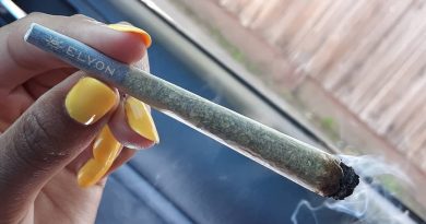 purple punch preroll by elyon cannabis strain review by sjweedreview