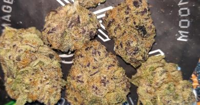 purple star by good brands strain review by sjweedreview