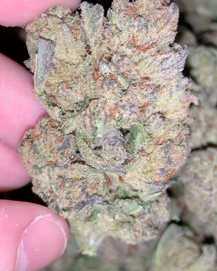 purple trainwreck weed