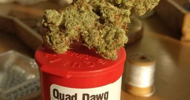 quad dawg by ripped city gardens strain review by pdxstoneman