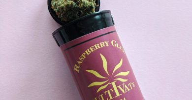 raspberry glue by ieso strain review by upinsmokesession