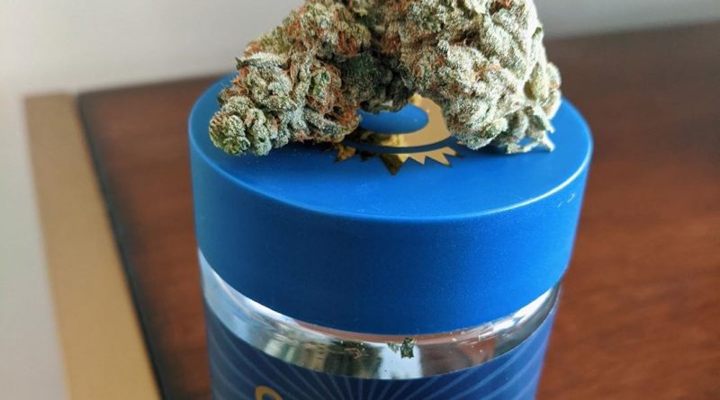 rock candy og by ozone reserve strain review by upinsmokesession