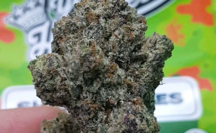 shady apples by your highness strain review by dcent_treeviews