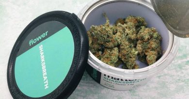 sharksbreath by matter strain review by upinsmokesession