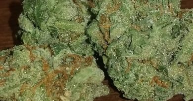 skunk from stony hill strain review by sticky_haze420