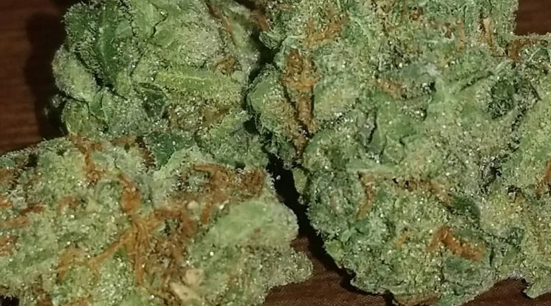 skunk from stony hill strain review by sticky_haze420