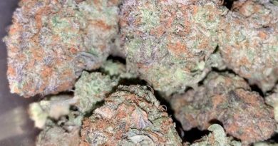 skywalker og (skywalker x og kush) strain review by thatcutecannacouple