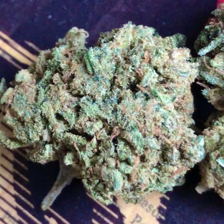 CBD Strain Review: Sour Grapes by Texas Hemp Culture - The Highest Critic