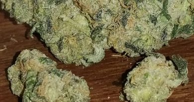 sour og by cali connection strain review by sticky_haze420