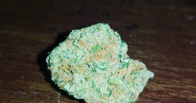 sour tangie by reserva privada by dna genetics strain review by sticky_haze420