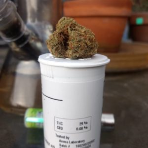 strawberry cough by dave-fu farms strain review by pdxstoneman 2