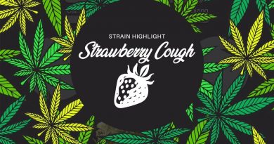 strawberry cough by pure ohio wellness strain review by ohio_marijuana