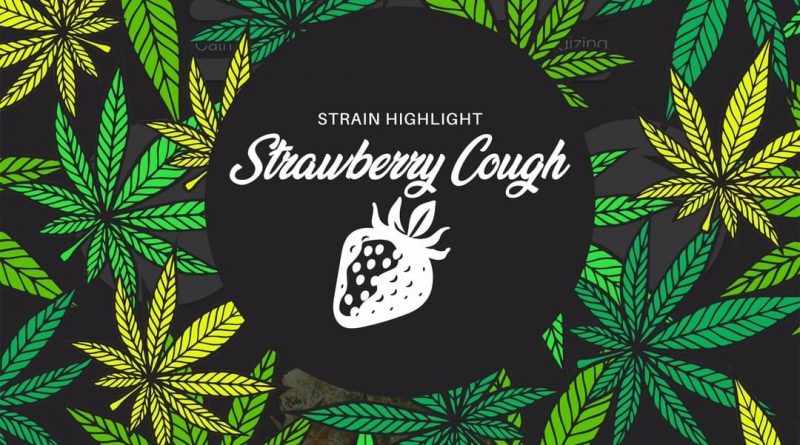 strawberry cough by pure ohio wellness strain review by ohio_marijuana