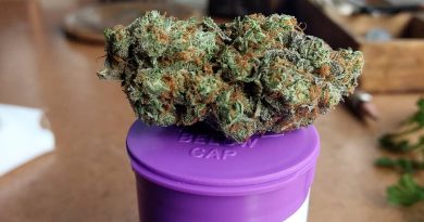 strawberry shortcake by high noon strain review by pdxstoneman