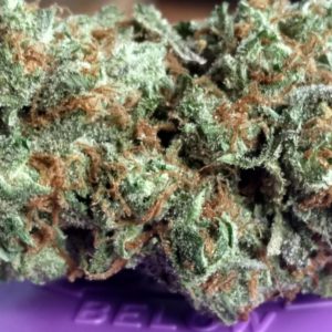 strawberry shortcake flower close up strain review by pdxstoneman