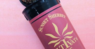 sunset sherbet by cultivate strain review by upinsmokesession
