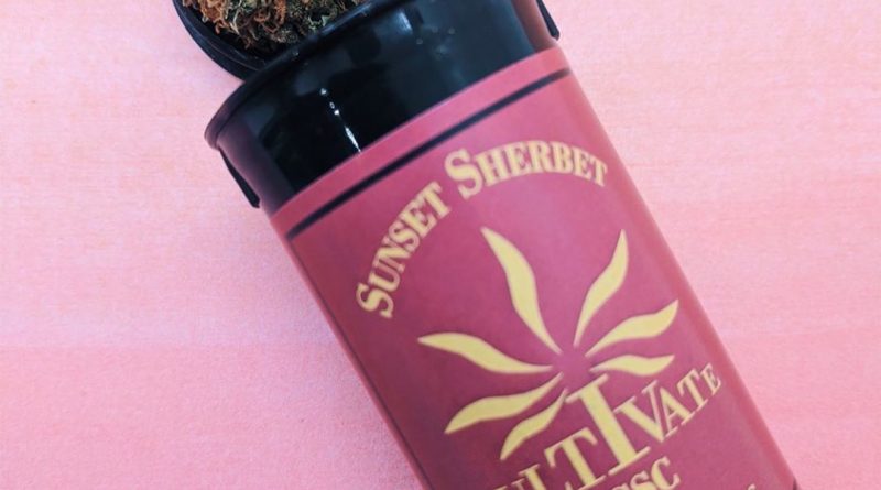 sunset sherbet by cultivate strain review by upinsmokesession