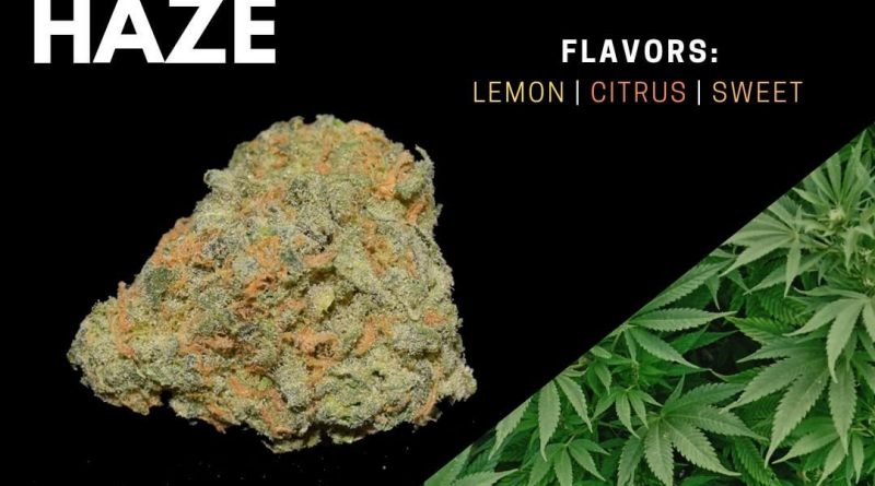 super lemon haze strain review by ohio_marijuana