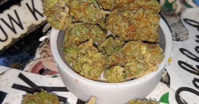tangie og by shazzam farms strain review by sjweedreview