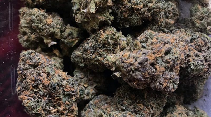 the black by bc bud depot strain review by thatcutecannacouple