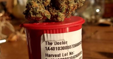 the doctor by geek farms strain review by pdxstoneman