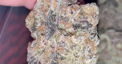 the menthol by compound genetics strain review by thatcutecannacouple