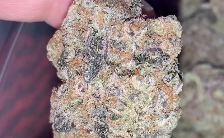 the menthol by compound genetics strain review by thatcutecannacouple