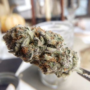 tillamook lime by johnny stomper strain review by pdxstoneman 2
