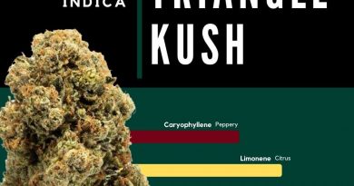 triangle kush by calyx peak strain review by ohio_marijuana