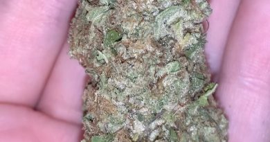 trinity og by loompa farms strain review by thatcutecannacouple